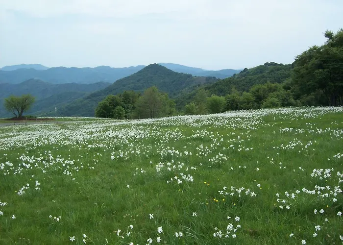 Casa Del Romano Fascia
