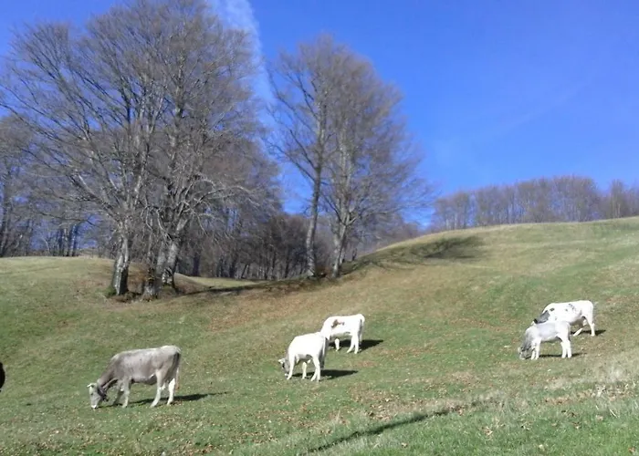 فندق Casa Del Romano Fascia